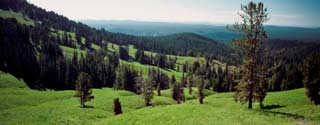 Nature